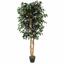 Kunstboom Ficus Benjamin bordeaux 170 cm