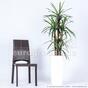 Dracena kunstplant bekleed met 140 cm