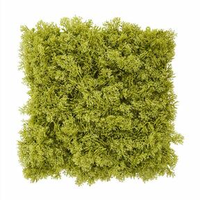 Kunst paneel groen mos - 25x25 cm