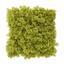 Kunst paneel groen mos - 25x25 cm