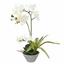 Orchidee kunst wit met varen 43 cm