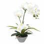 Orchidee kunst wit met varen 43 cm