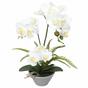 Orchidee kunst wit met varen 43 cm