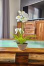 Orchidee kunst wit met varen 43 cm