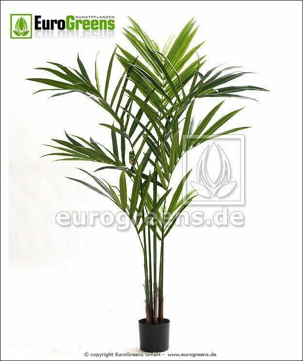 Kentia kunstpalm 170 cm