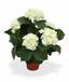 Kunstplant Hortensia crème 45 cm