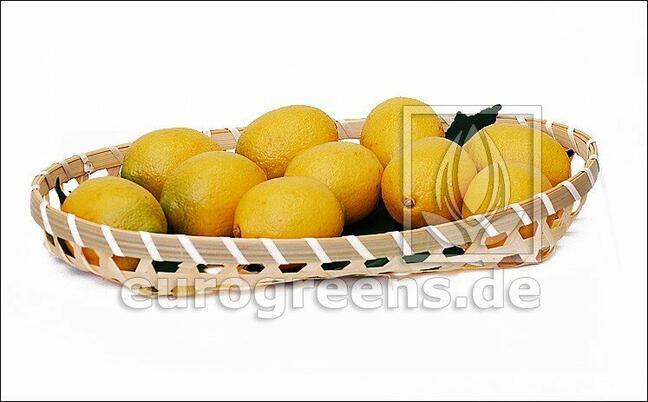 Kunstmatige citroen