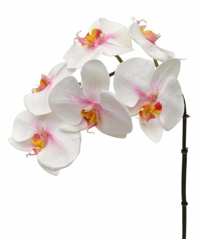 Orchidee kunsttak roze-wit 55 cm