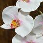 Orchidee kunsttak roze-wit 55 cm