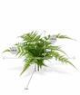 Kunstplant Wing 30 cm