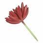 Kunst succulente lotus Eševéria bordeaux 10.5 cm