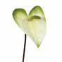Kunsttak Anthurium wit-groen 55 cm