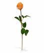 Kunsttak Roos oranje 52 cm