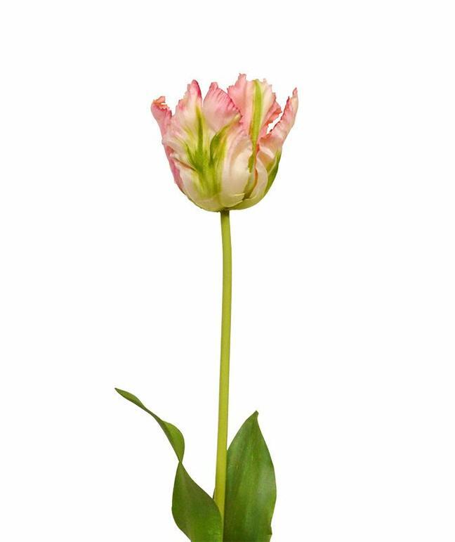Kunsttak Tulp groen-roze 70 cm