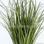 Kunstgrasbundel gras Riet 80 cm