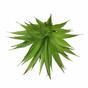 Kunstplant Agave groen 18 cm