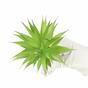 Kunstplant Agave groen 18 cm