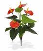 Kunstplant Anthurium rood 40 cm
