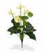 Anthurium kunstplant wit 40 cm