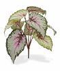 Kunstplant Begonia 25 cm