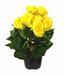 Kunstplant Begonia geel 25 cm