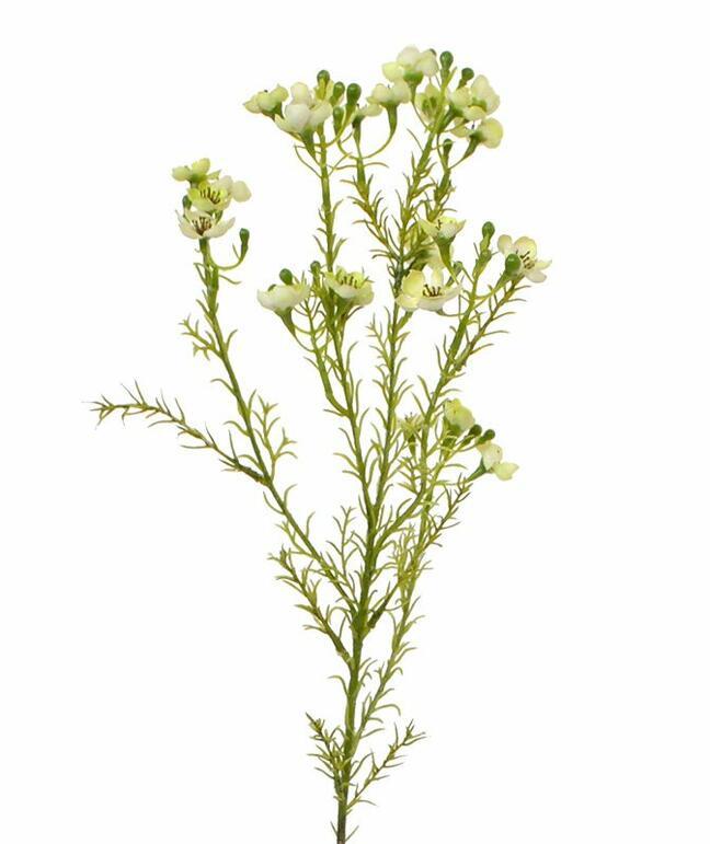 Chamelaucium uncinatum kunstplant 65 cm