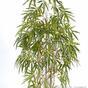 Kunstplant Chinese Bamboe 150 cm