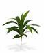 Kunstplant Dracena 60 cm