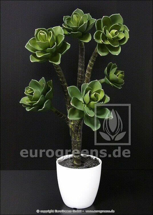 Kunstplant Eševéria 55 cm