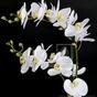 Kunstplant Orchidee wit 65 cm