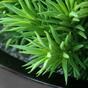 Peperomia kunstplant 23 cm