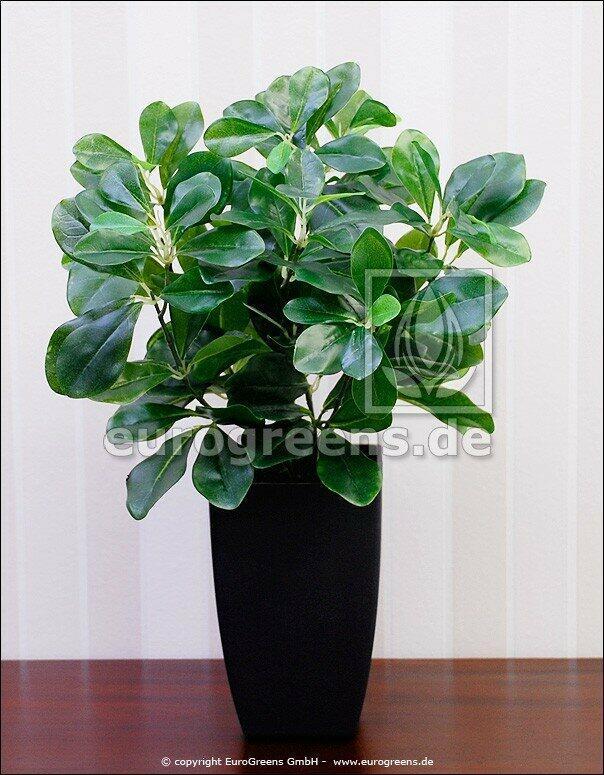 Kunstplant Pruim 40 cm