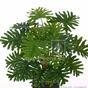 Kunstplant Philodendron xanadu 40 cm