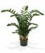 Kunstplant Zamiokulkas 120 cm