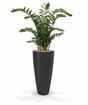 Kunstplant Zamiokulkas 120 cm