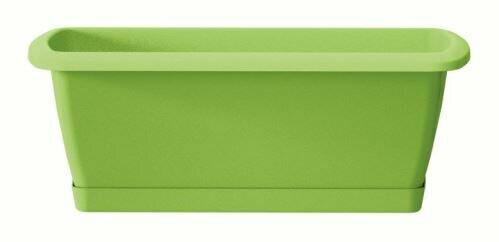 Doos met kom RESPANA SET limoen 49,0 cm